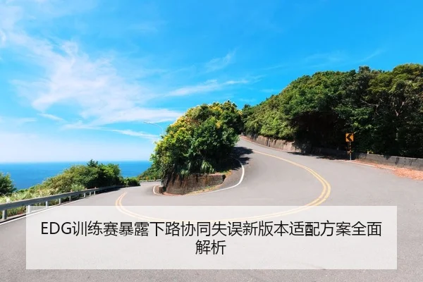 EDG训练赛暴露下路协同失误新版本适配方案全面解析